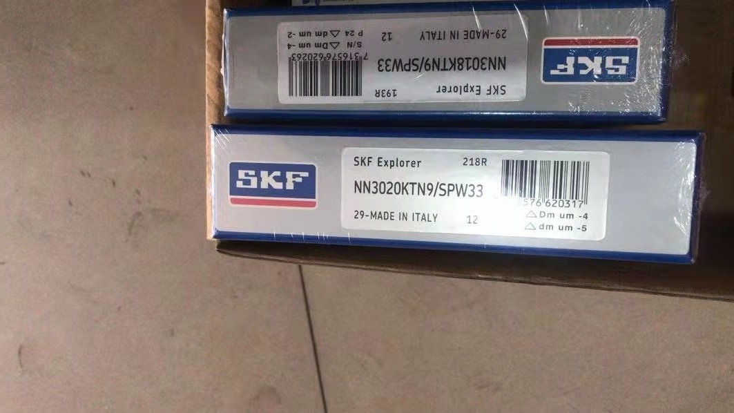 SKF NN3020KTN9/SPW33