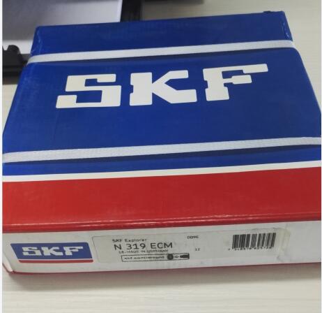 SKF N319ECM