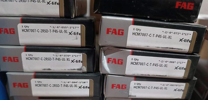 FAG HCM7007C-2RSD-T-P4S-UL-XL