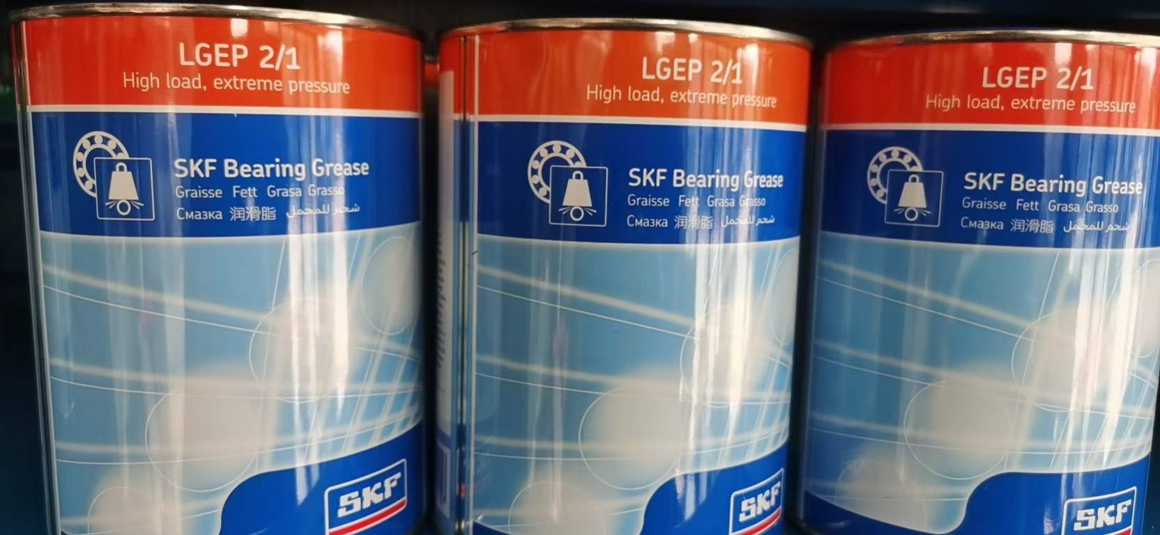 SKF LGEP2/1