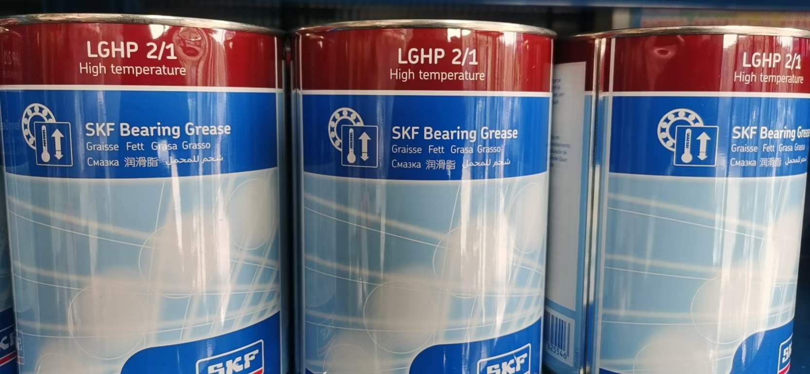 SKF LGHP2/1